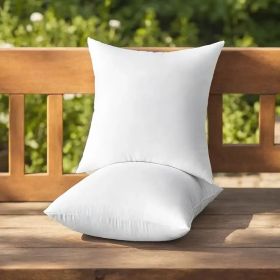 Throw Pillows (Option: 20x26 2pack)