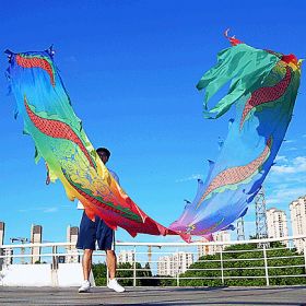 19.6ft Washable Silk-like Dragon Poi with Adjustable Wand, 6 meters of Outdoor Flinging Fitness Dance with 3D Rainbow Color Dragon Ribbon Streame (Color: Random Dragon)