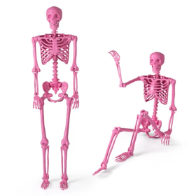 5.5ft Life-Size Pre-Lit Halloween Skeleton (Color: Pink)